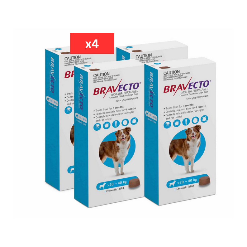 4 Bravecto anti-Puces et Tiques pour chiens de 20 à 40 kg - Bleu 4 à mâcher