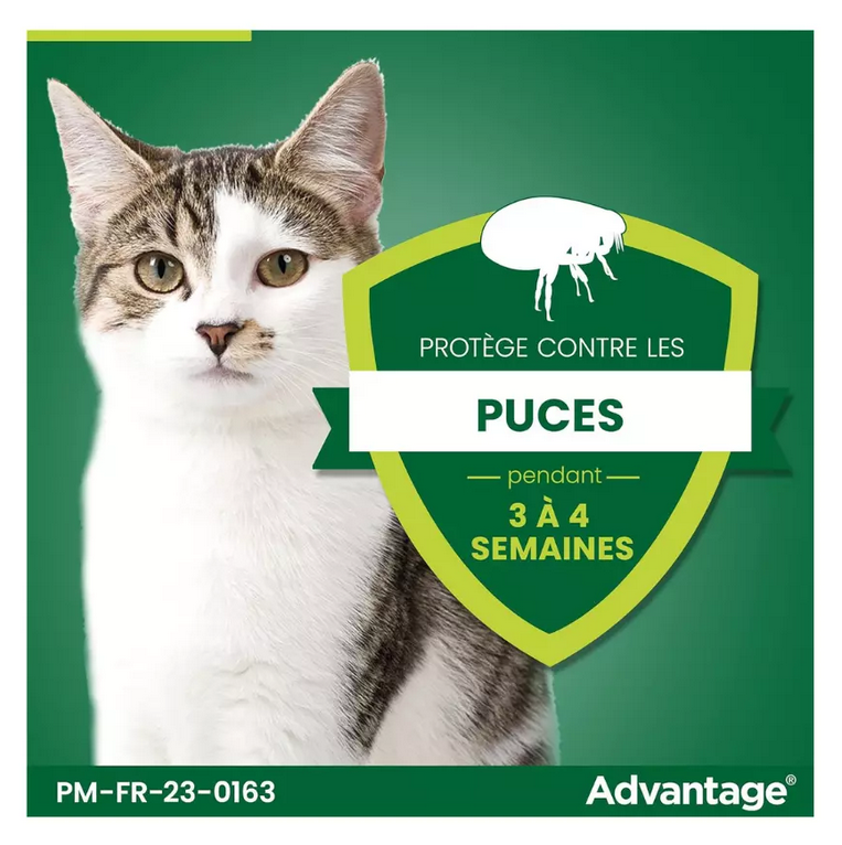 6 pipettes Advantage® 80 pour chat et lapin > 4 kg de 0,8ml