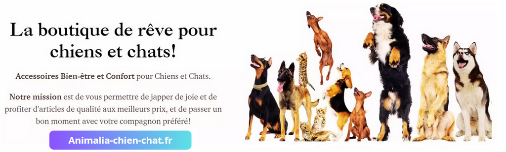 Arbre à chat de luxe