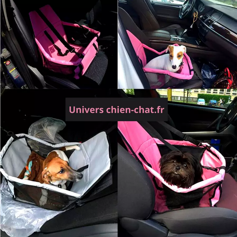 Siège de voiture pour animaux de compagnie chiens chats