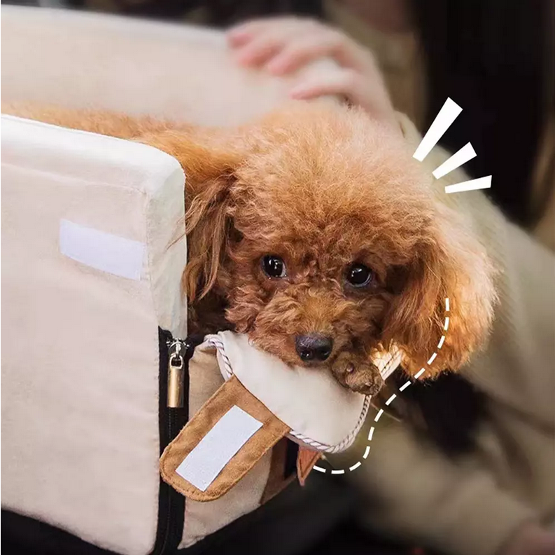 Siège de voiture portable pour animaux de compagnie chien chat