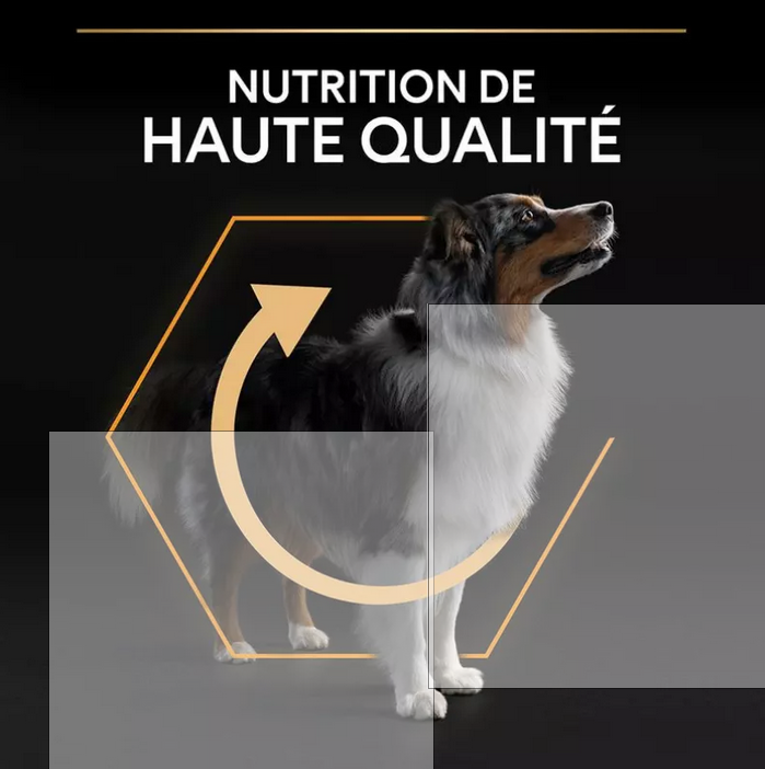 PURINA PRO PLAN All Sizes Adult Light/Sterilised pour chien 14kg-(7 variantes)