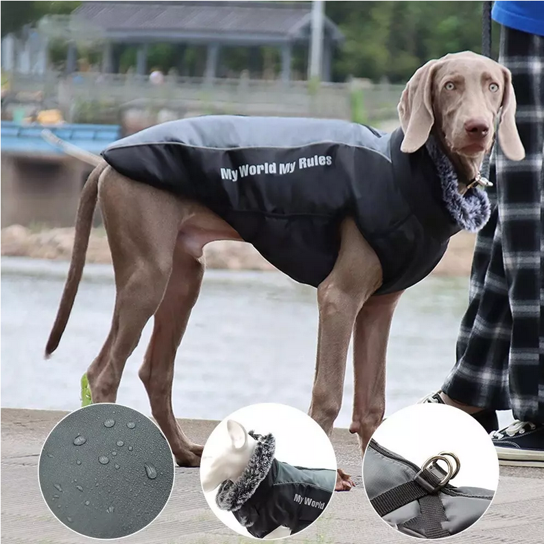 Manteau imperméable avec harnais intégré pour chiens