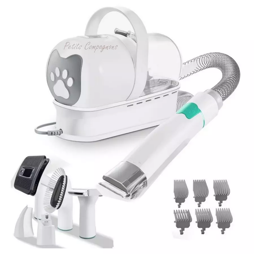 Aspirateur pour Toilettage d'Animaux de Compagnie