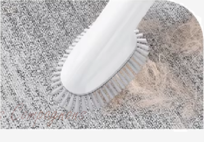 Aspirateur pour Toilettage d'Animaux de Compagnie