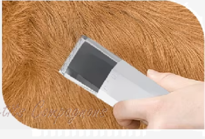 Aspirateur pour Toilettage d'Animaux de Compagnie