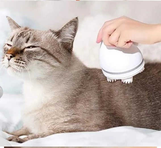 Appareil de massage intelligent pour chat