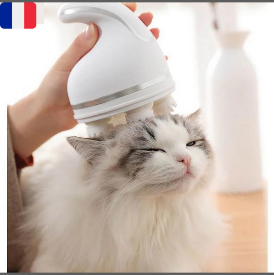 Appareil de massage intelligent pour chat