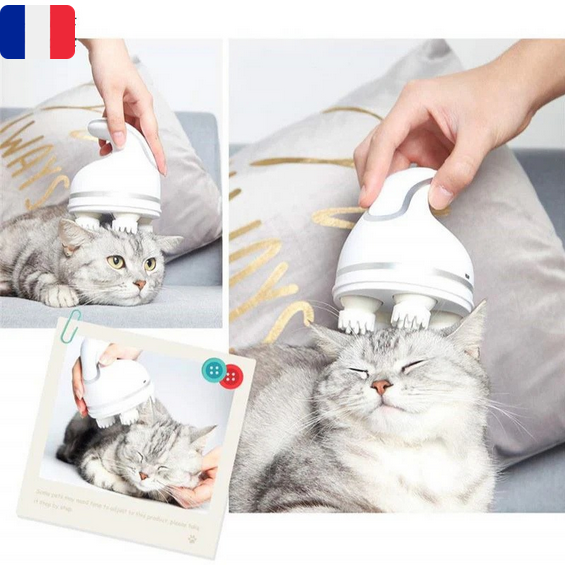 Appareil de massage intelligent pour chat