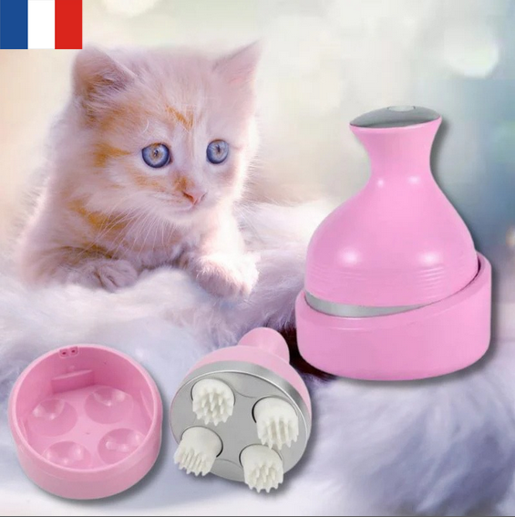 Appareil de massage intelligent pour chat