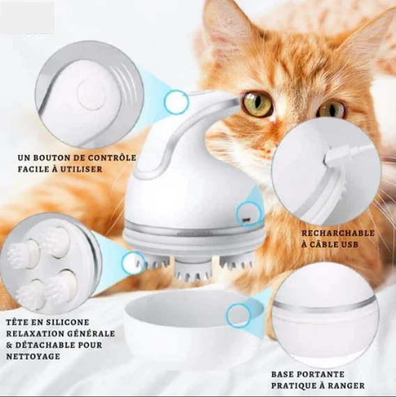 Appareil de massage intelligent pour chat