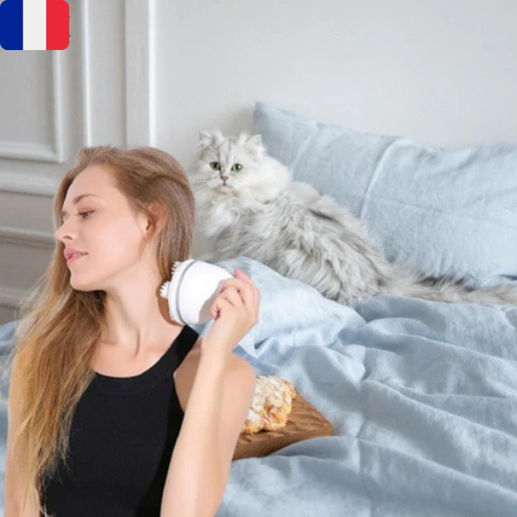 Appareil de massage intelligent pour chat