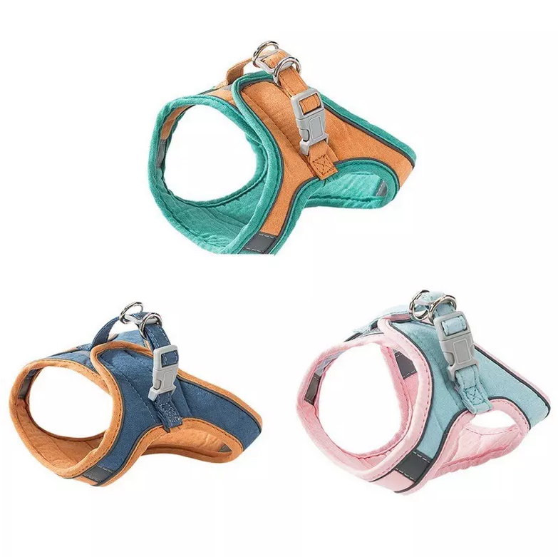 Harnais et laisse Petslover