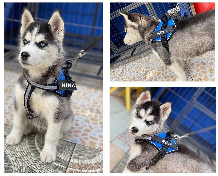 Etiquettes velcro personnalisées