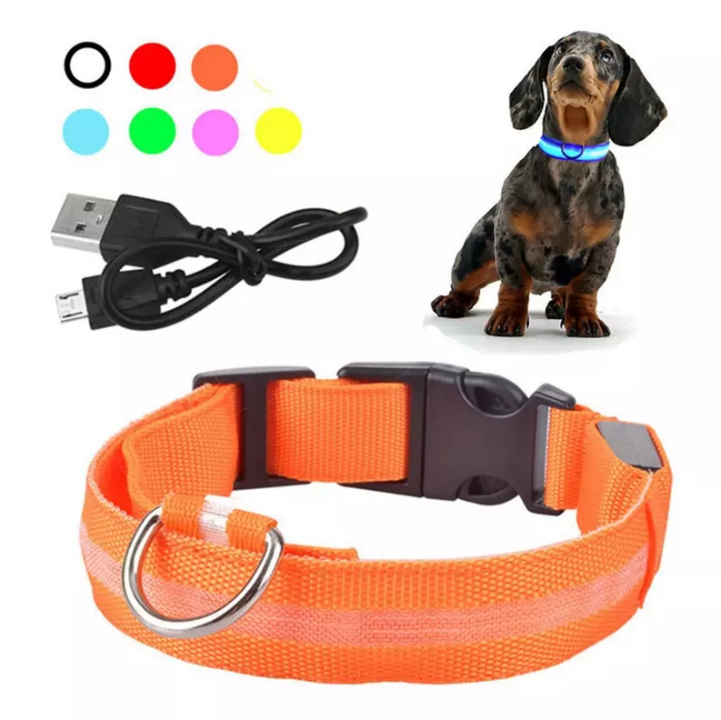 Collier lumineux USB pour chien