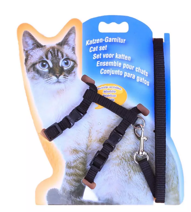 Ensemble harnais + laisse pour pour chat-chien
