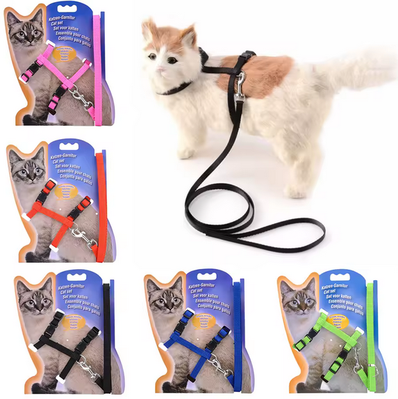 Ensemble harnais + laisse pour pour chat-chien
