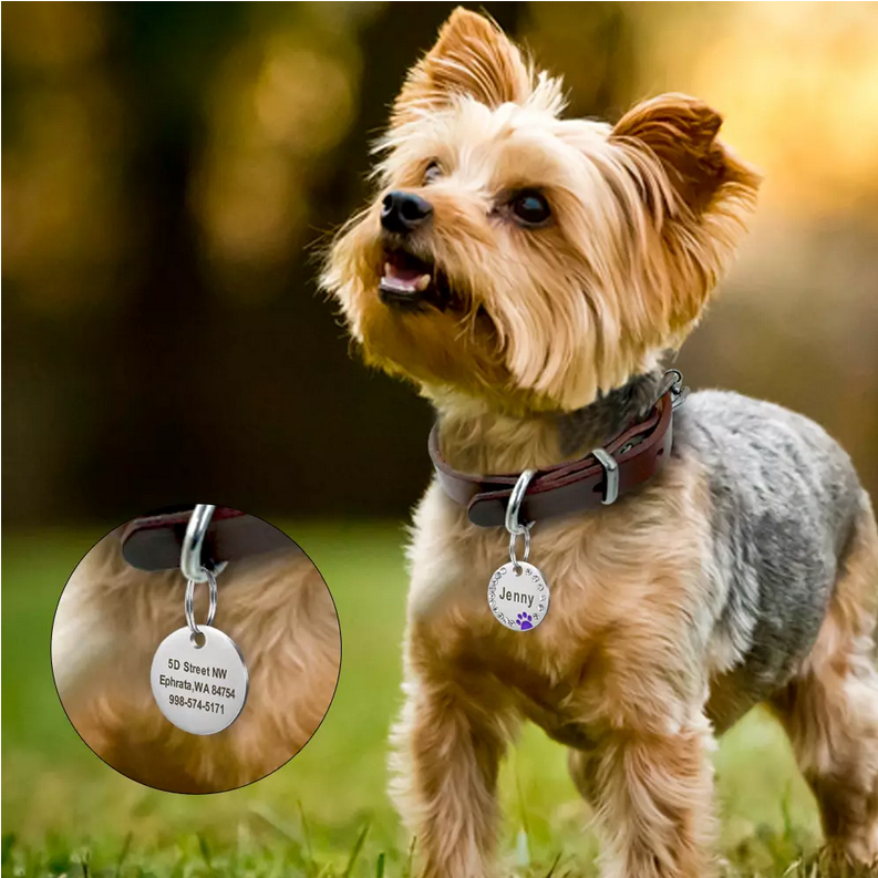 Médaille personnalisée ronde avec strass pour chien-chat