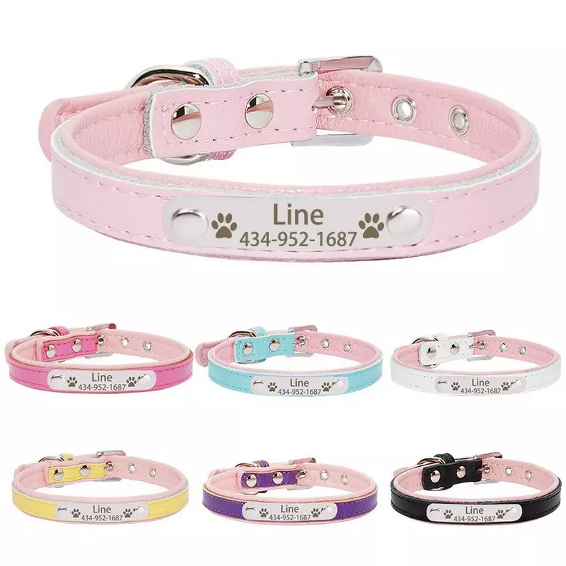 Collier cuir avec plaque d'identification