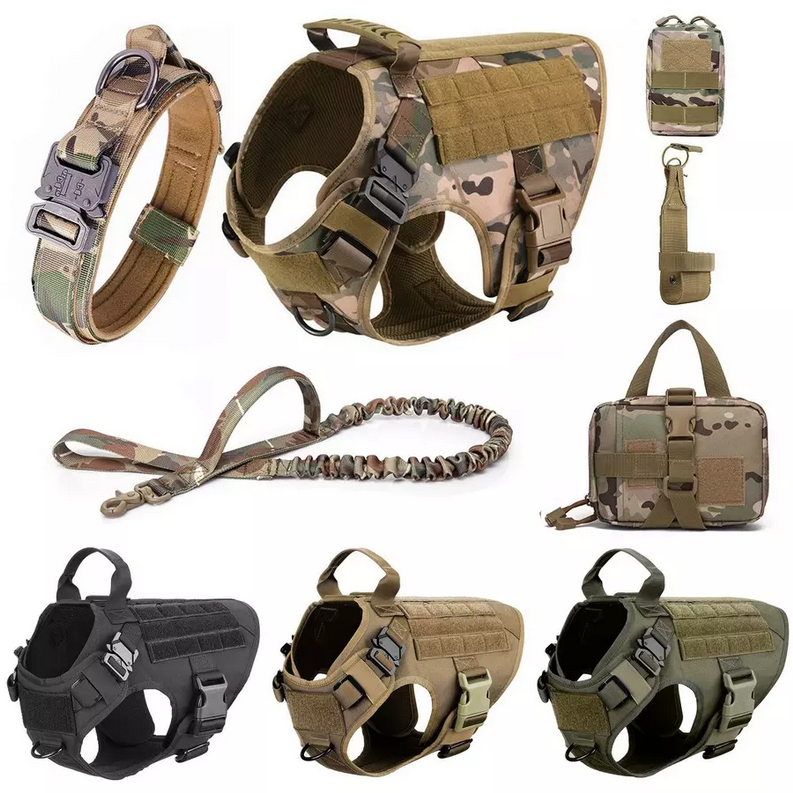 Kit complet tactique pour chien