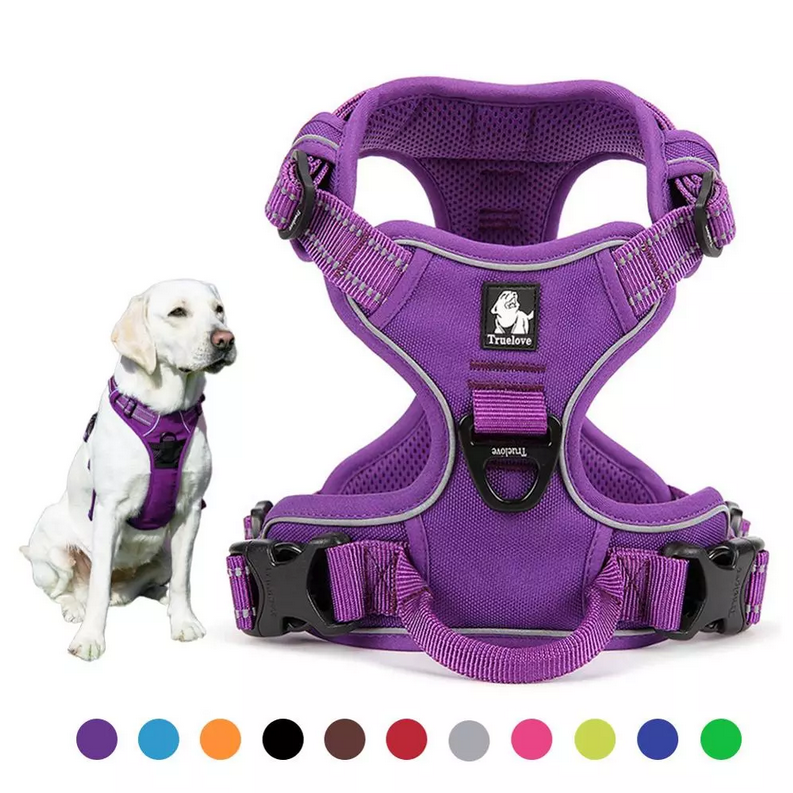 Harnais anti-traction pour chien