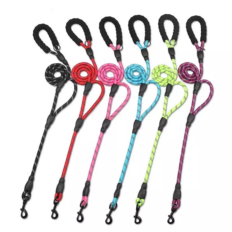 Laisse double poignée pour animaux