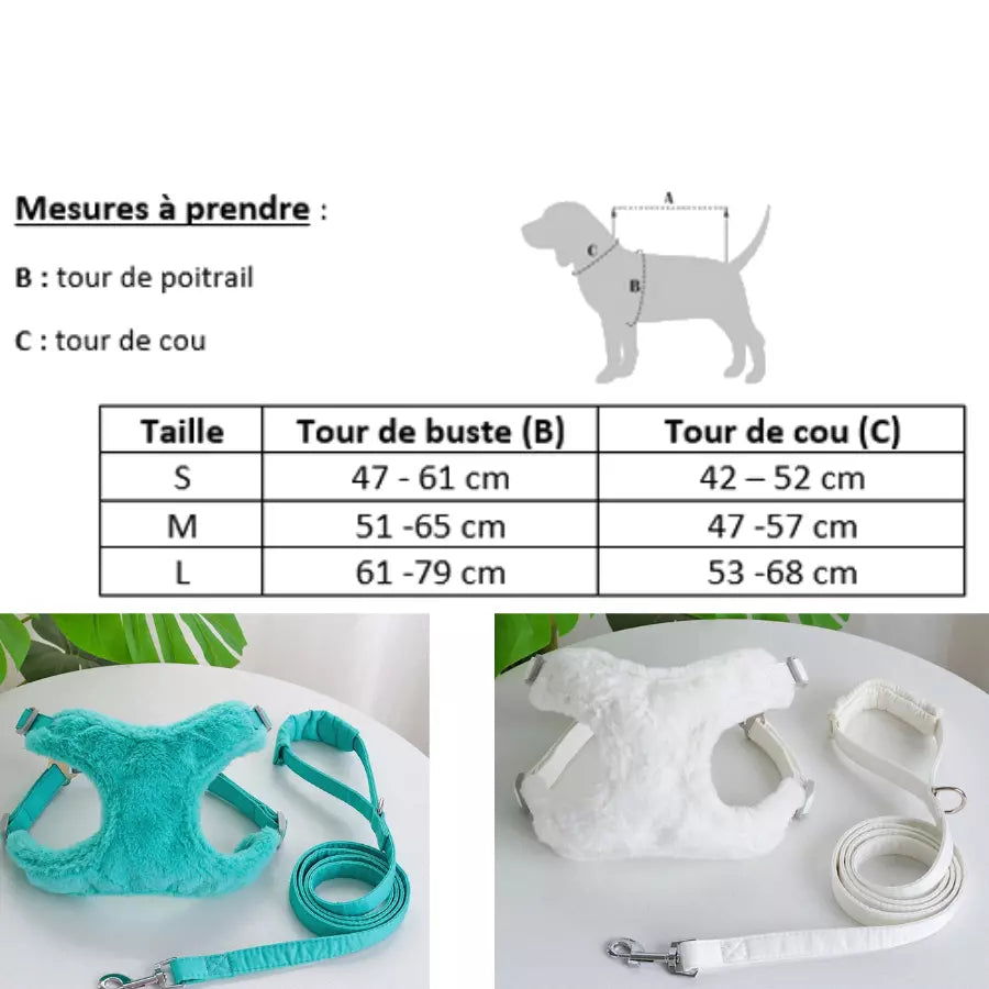 Ensemble gilet harnais en fourrure avec laisse pour animaux de compagnie