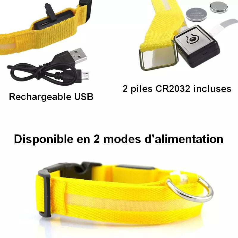 Collier lumineux USB pour chien