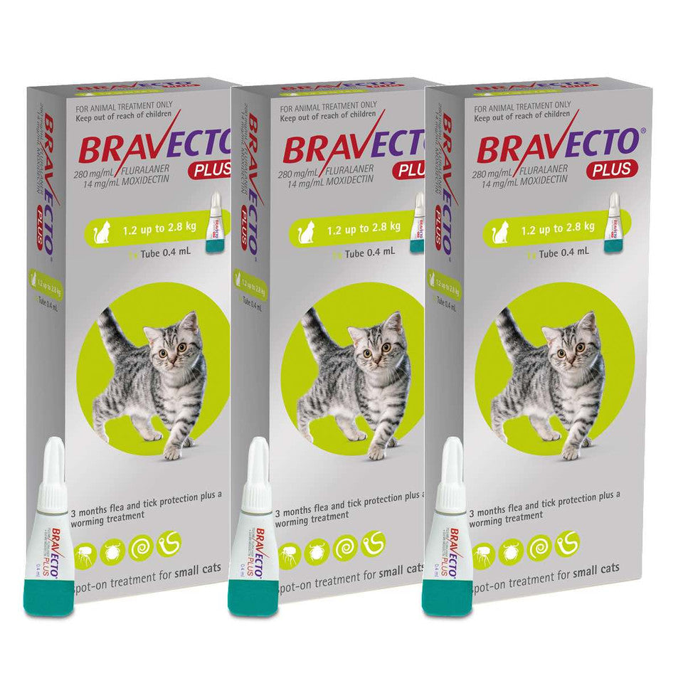 Boîtes de traitement anti-puces et anti-tiques pour petits chats, Animalia-chien-chat.fr