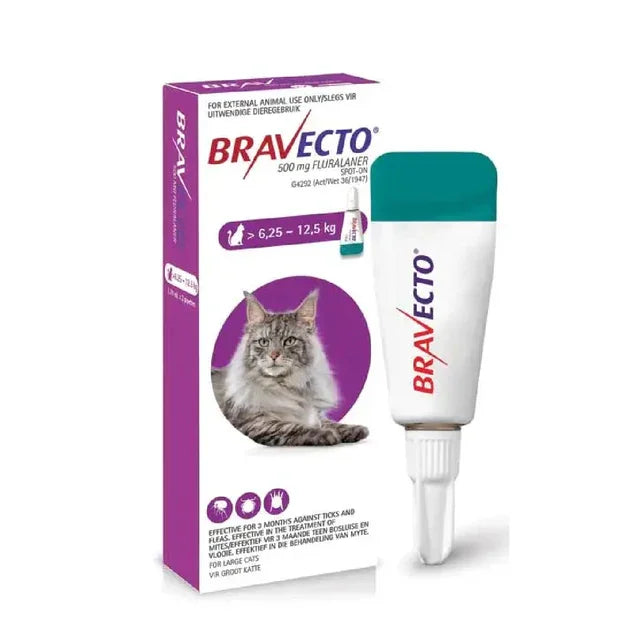 2 Bravecto Solution Topique pour Chats 6,25-12,5 kg (13,8-27,5 lbs)-Purple 2 Doses