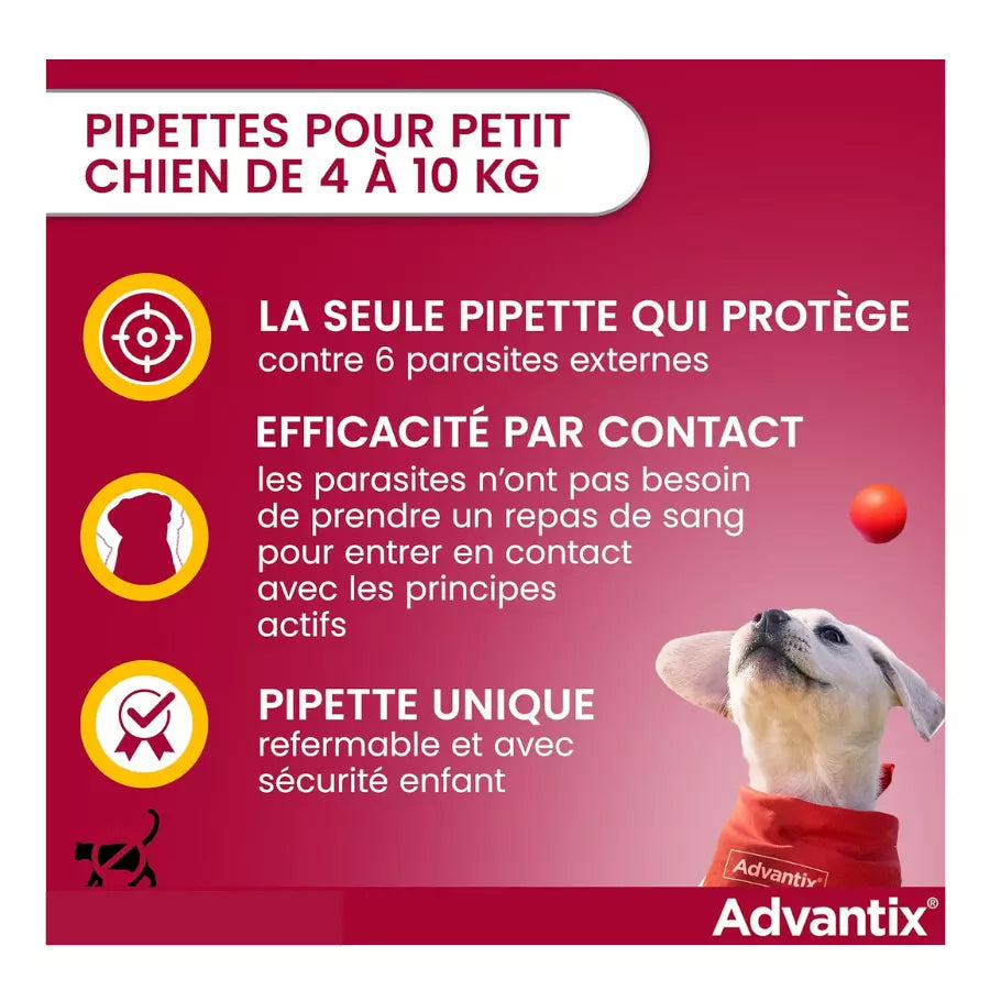 Advantix Spot-on Antiparasitaire Petit chien(4-10 kg) 4 pipettes