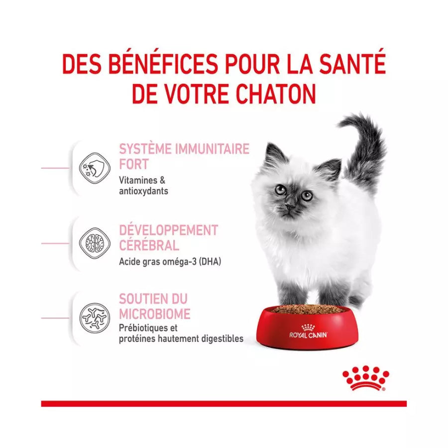 Royal Canin Kitten pour chaton