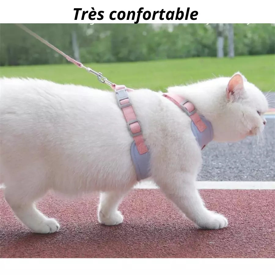 Harnais réfléchissant et respirant avec laisse pour chats