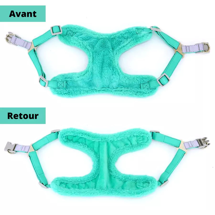 Ensemble gilet harnais en fourrure avec laisse pour animaux de compagnie