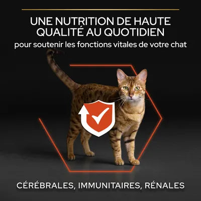 10 kg PURINA PRO PLAN Adult Vital Functions au saumon pour chat-(3 variantes)