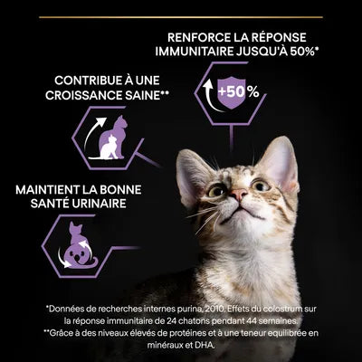 PURINA PRO PLAN Sterilised Kitten Healthy Start saumon pour chaton 4kg -(4 variantes)