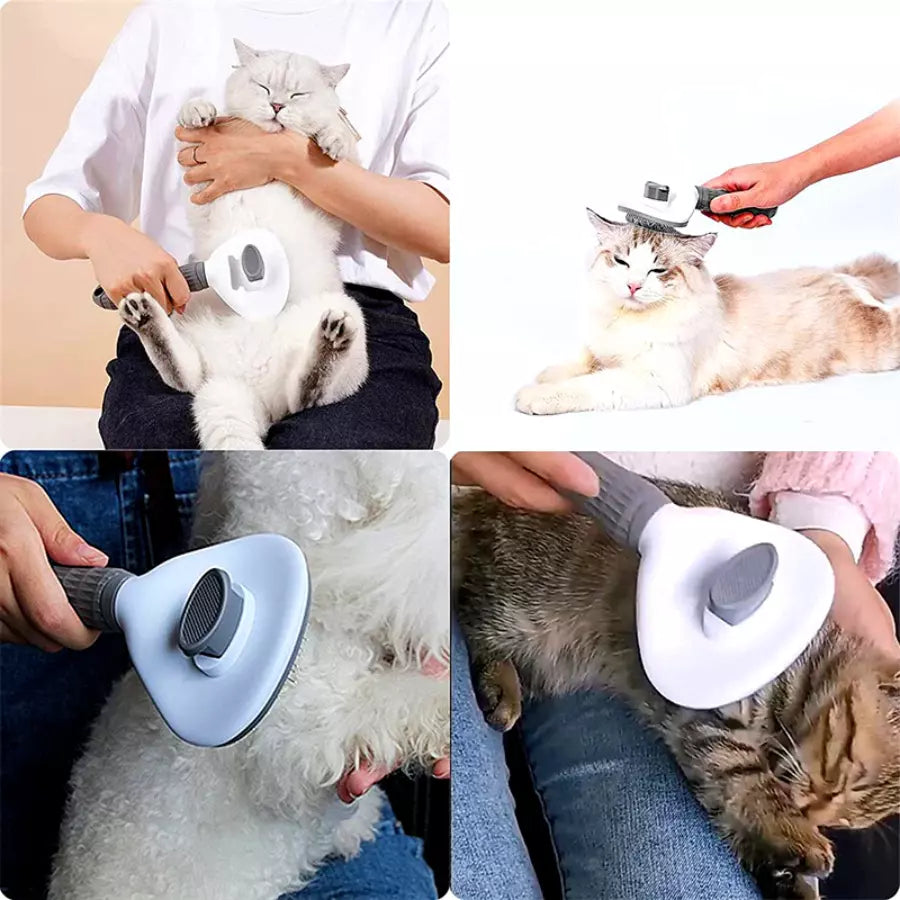 Brosse à poils pour chiens chat toilettage automatique