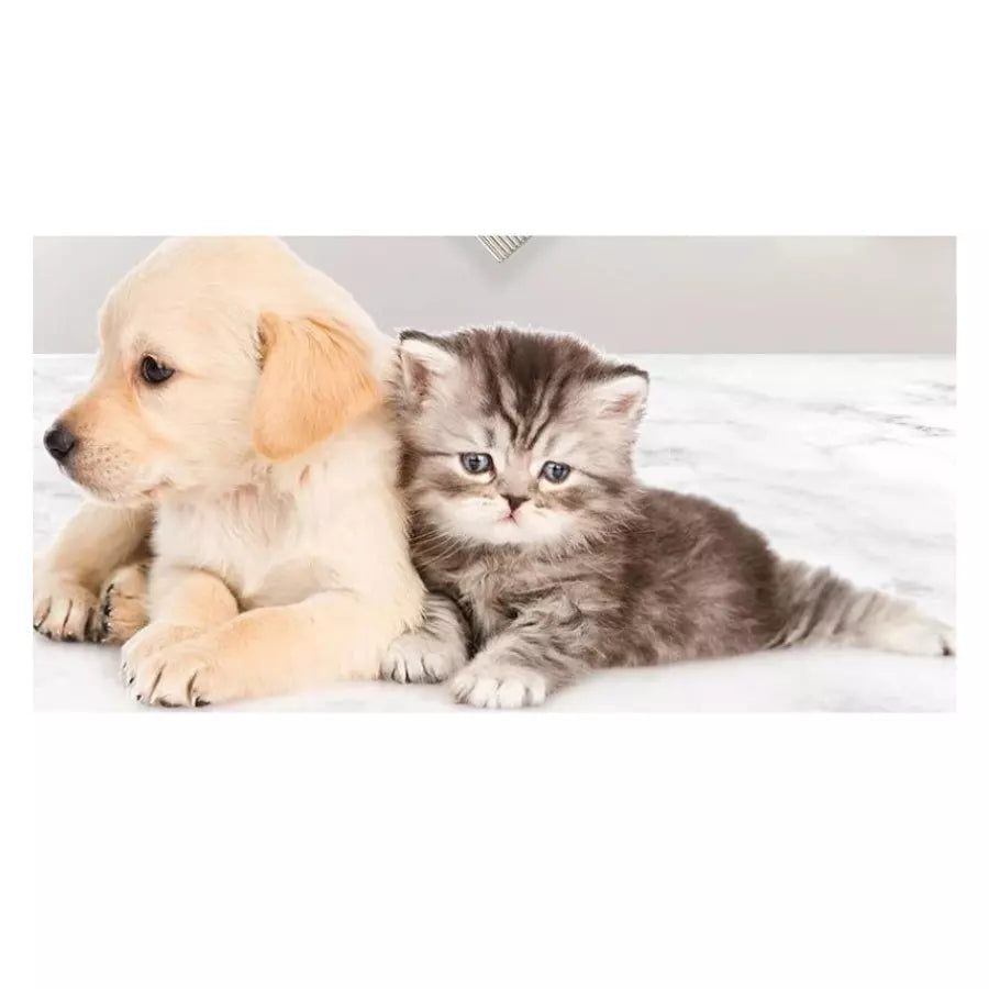 Brosse d'élimination des puces et des poux chat-chien