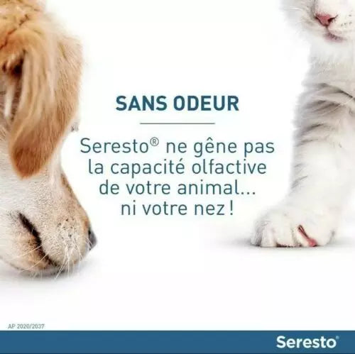 Collier Seresto Anti-Puces Anti-Tiques pour petit Chien -8Kg