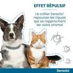2-Colliers Seresto Antiparasitaire Anti-Puces et Anti-Tiques pour CHAT lot de 2