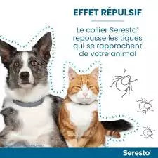 Colliers Seresto antiparasitaire anti-puces et anti-tiques pour Chat