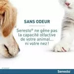 chat chiot seresto