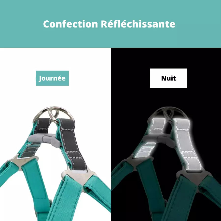 Ensemble gilet harnais en fourrure avec laisse pour animaux de compagnie