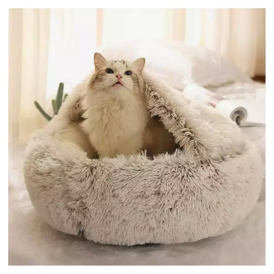 Chausson moelleux pour chat