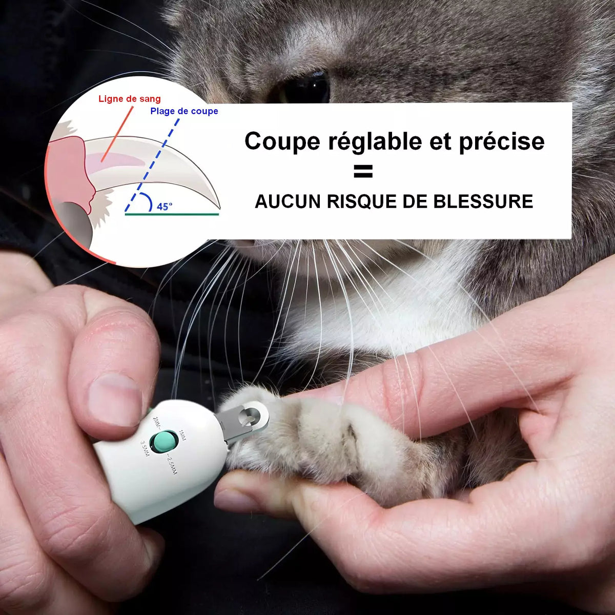 Coupe griffe réglable professionnel pour animaux de compcompagnie