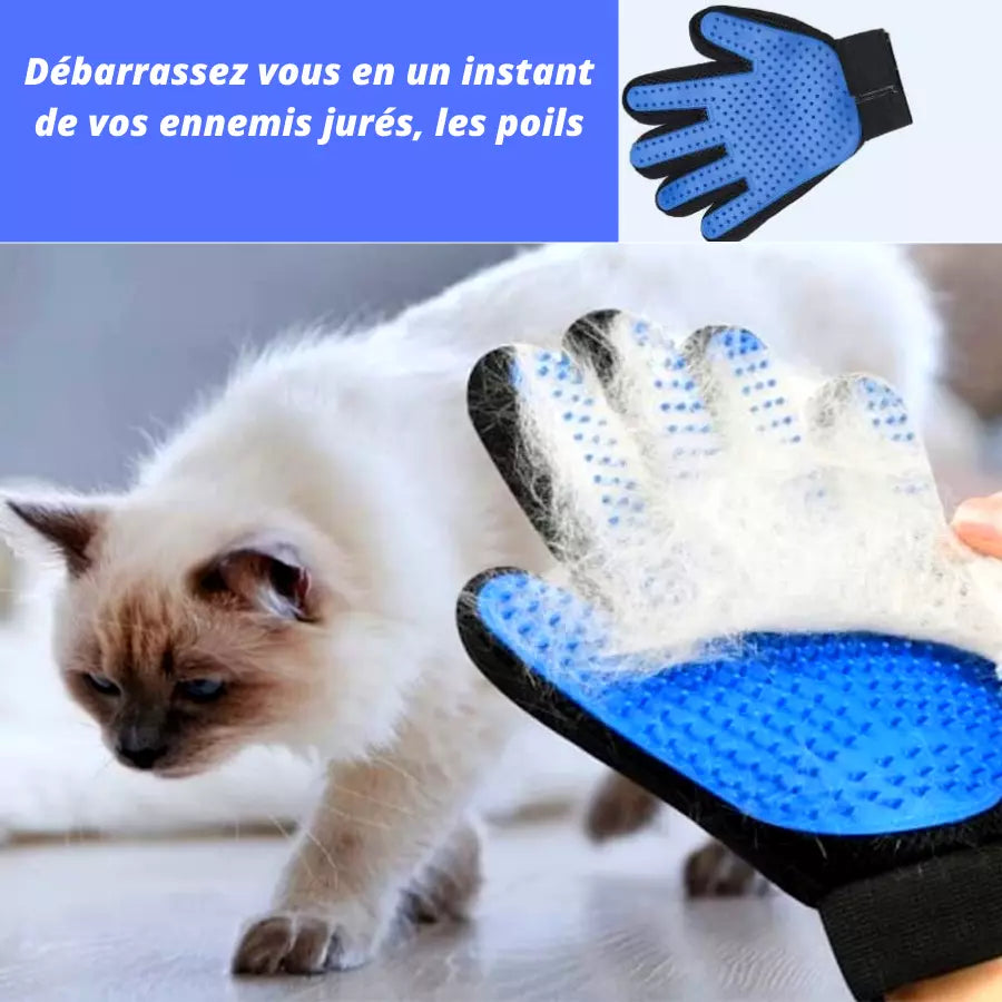 Gants des poils en Silicone pour animaux de compagnie chat chien brosse d'épilation