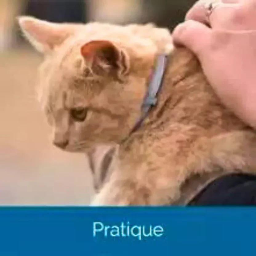 Description du collier anti-puces et anti-tiques Seresto pour chiens et détails du produit.