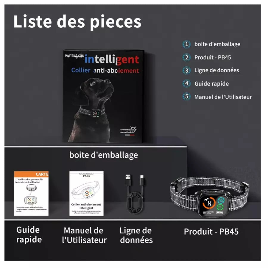 Collier dressage anti aboiement pour chien