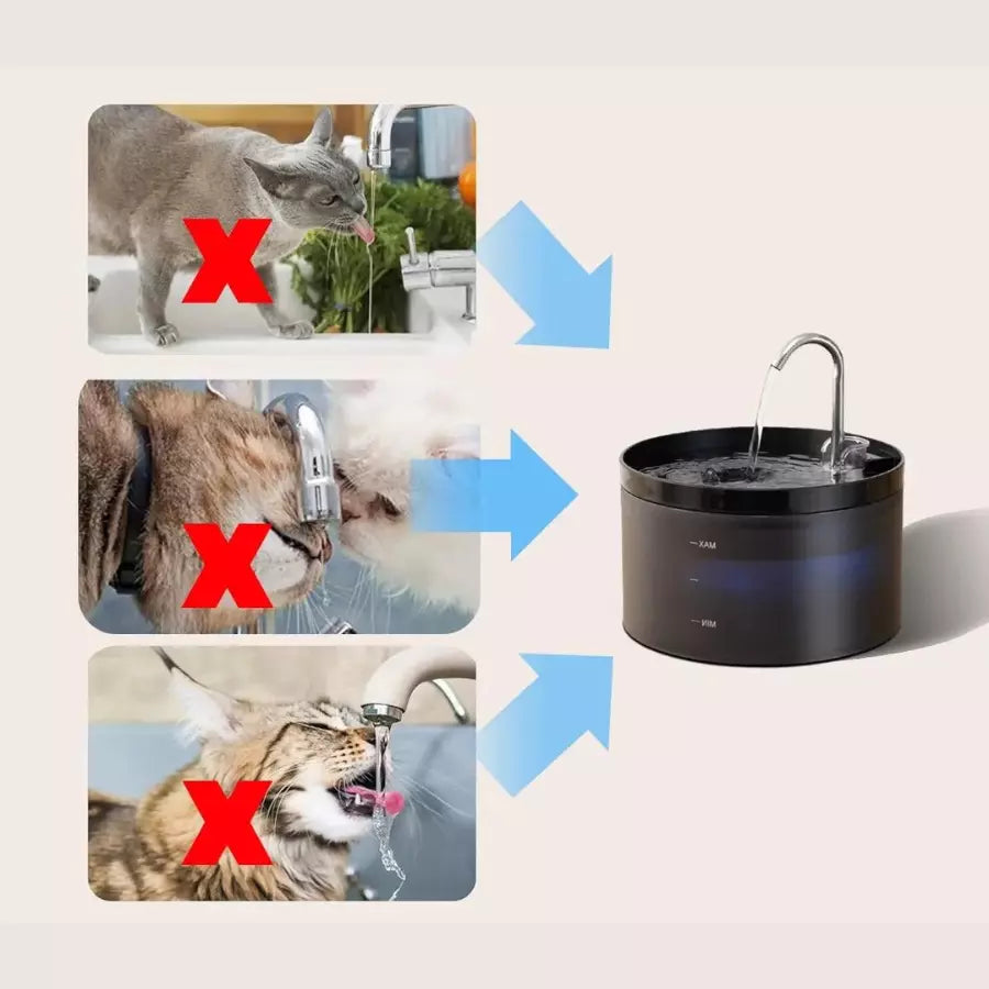 Fontaine à Eau automatique pour Chat
