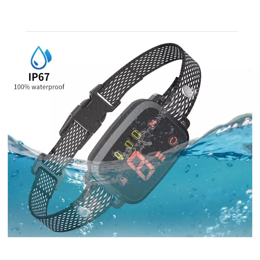 Collier dressage anti aboiement pour chien